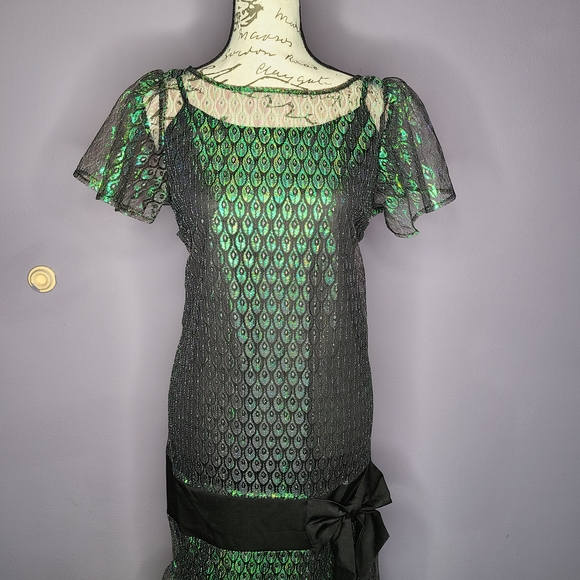 Unique Vintage Peacock Flapper Dress - Picture 2 of 16